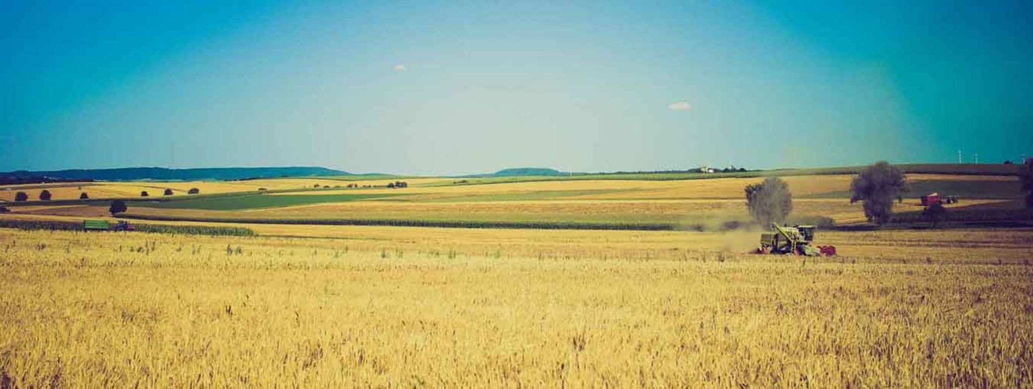 Cover photo for Walter F. Koester's Obituary