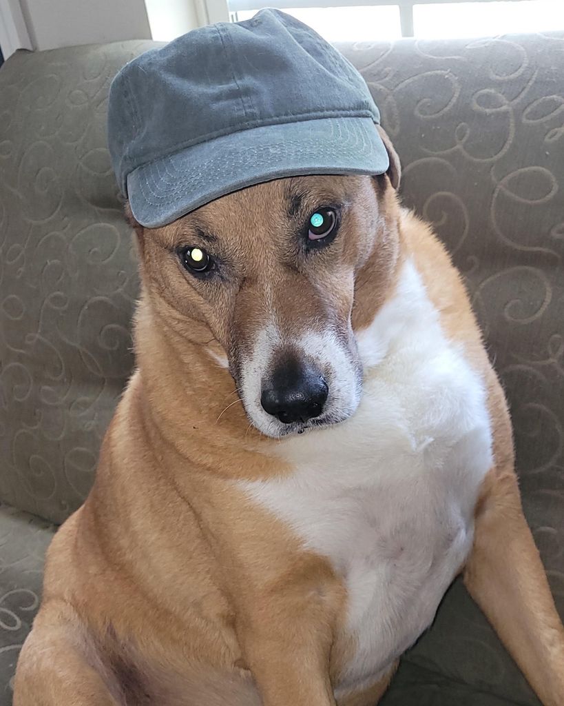 Brody Morse Profile Photo