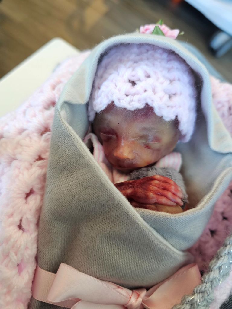 Baby Eliana Rennee Edwards Profile Photo