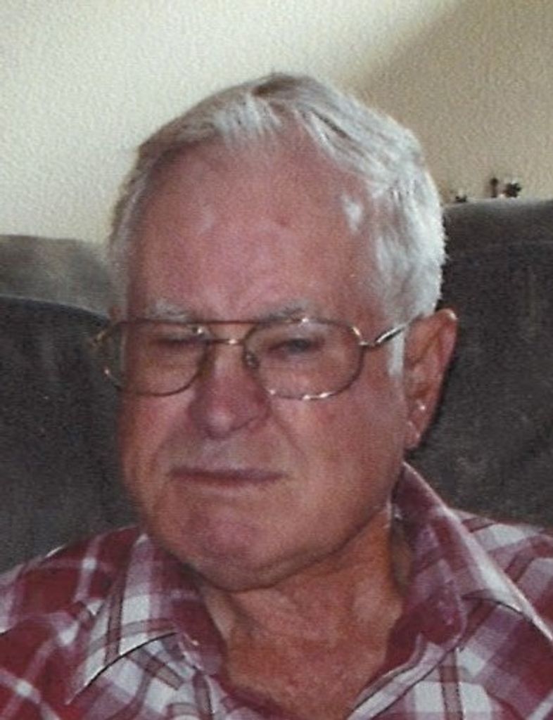 Leland "Lee" Vern Stein
