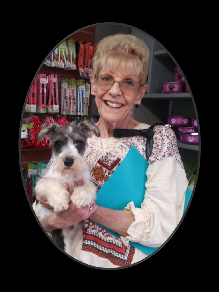 Phoebe Sue Helms  Dowling Profile Photo