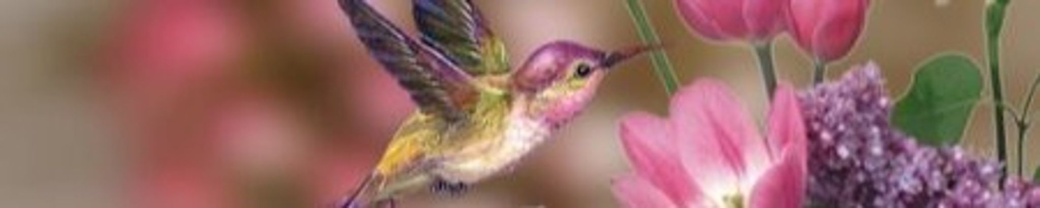 Cover photo for Jennifer Lynn Brown's Obituary