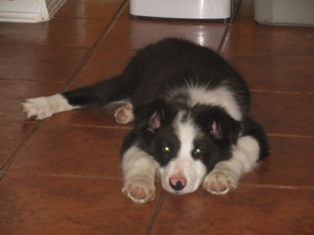Buddy Profile Photo