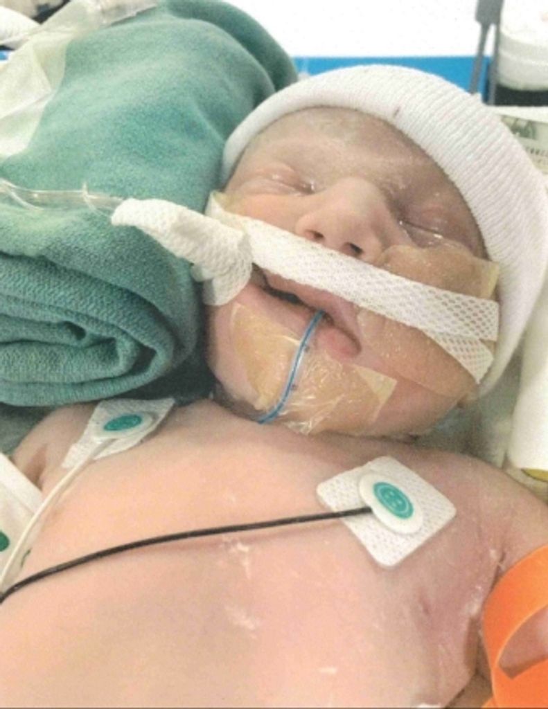 Harlow E. Butler Profile Photo