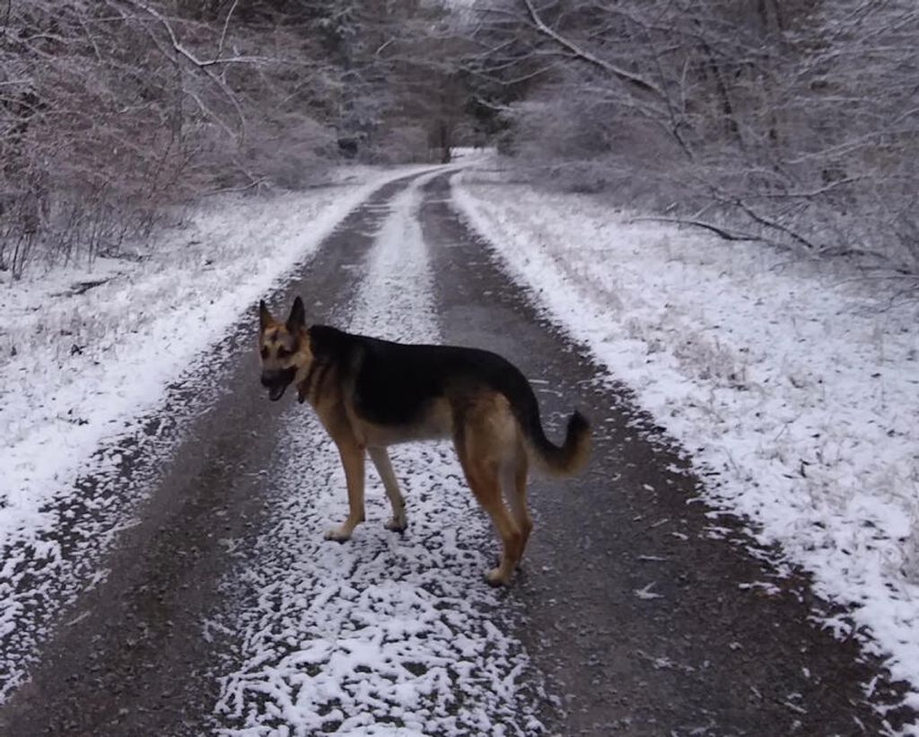 Hannah Costa Profile Photo