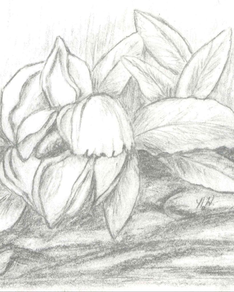 Ina Juanita "Nita" Brown Hill Profile Photo