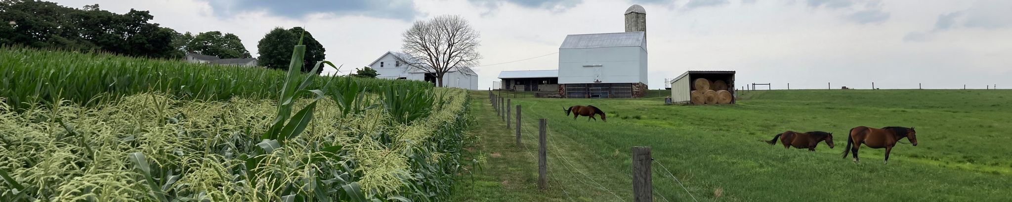 Cover for Gerald A. Kanach's Obituary