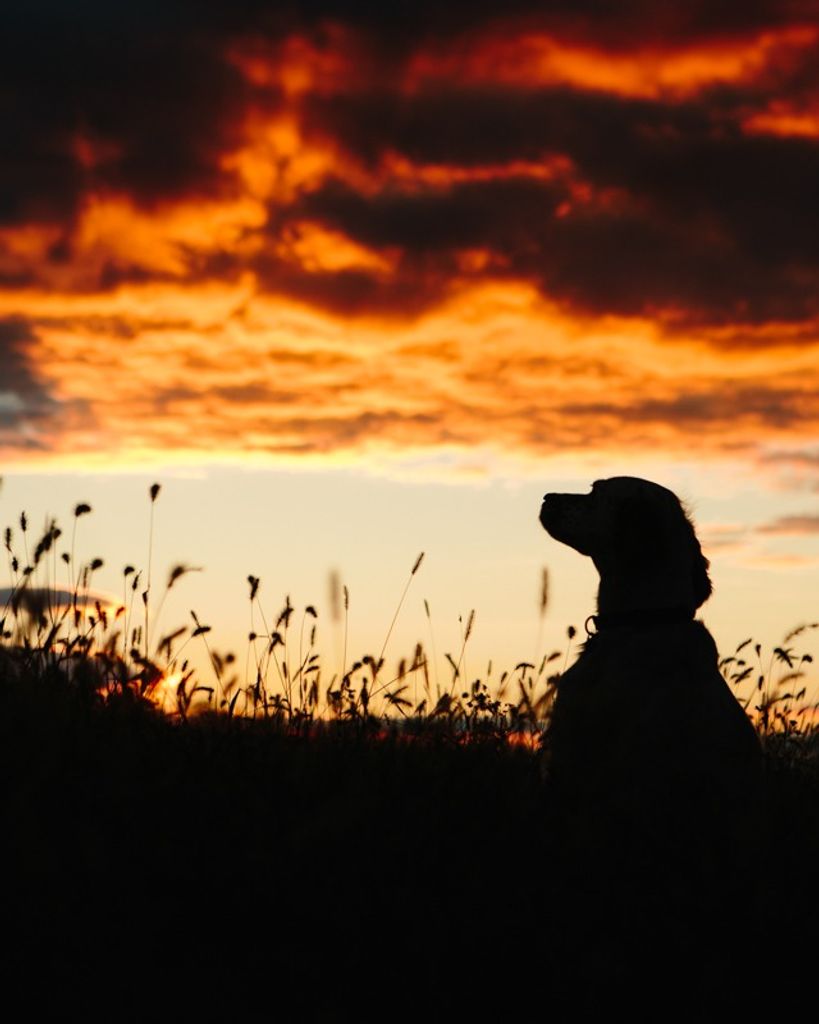 William Lundell Profile Photo