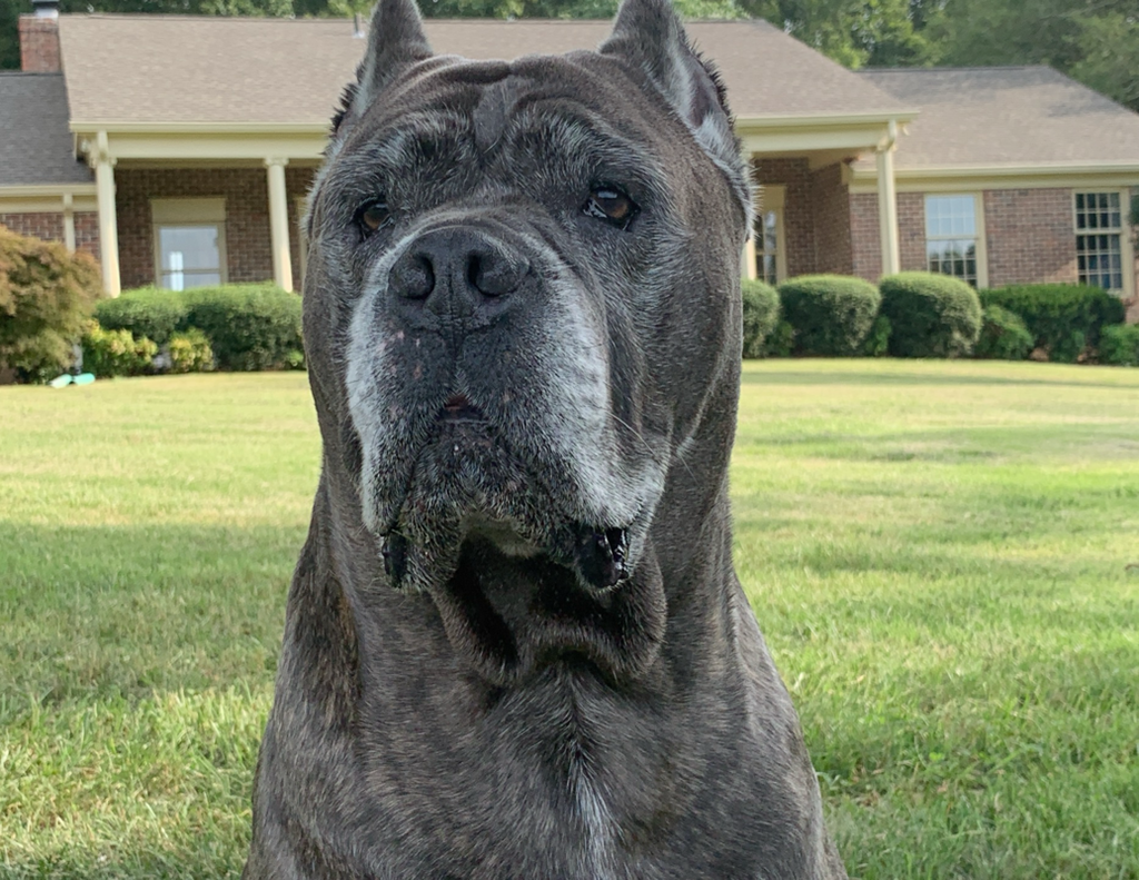 Luna Thompson Profile Photo
