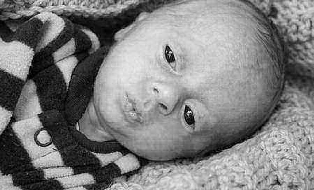Evan Reese Utsman Profile Photo