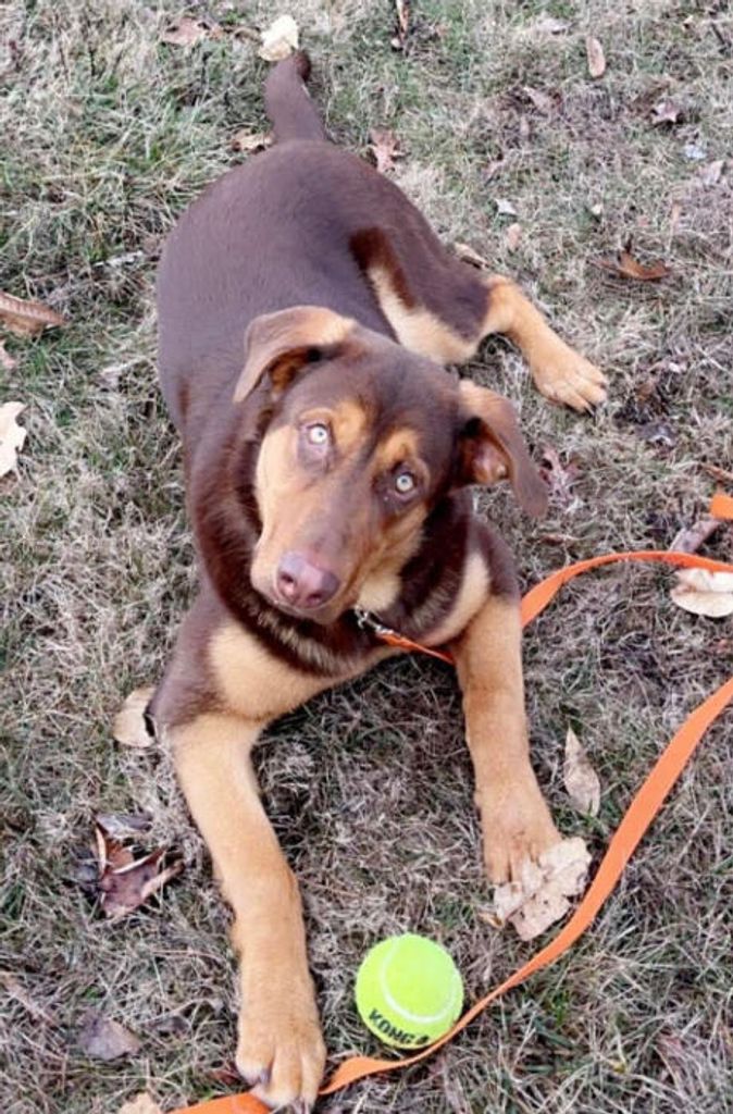 Tanner Baker Profile Photo