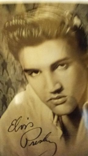 Jimmie Carrol Mcmanus photo gallery thumbnail 80 of 104