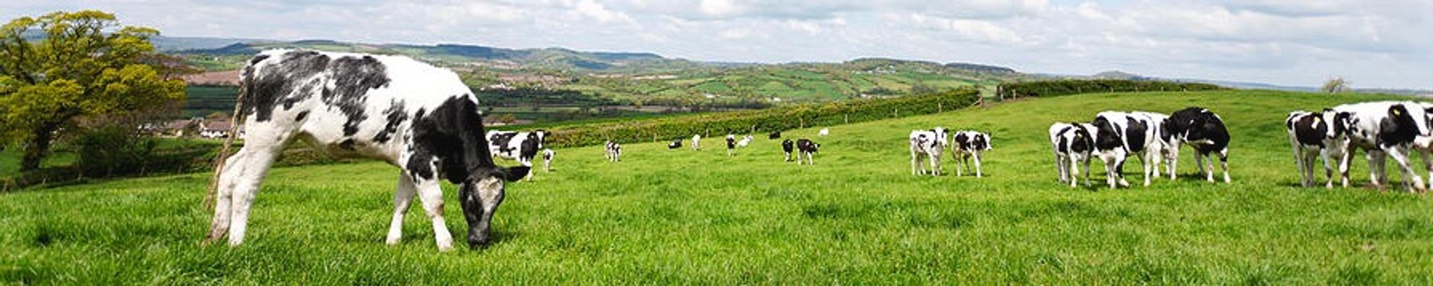 Cover for Dwight S. Brugger's Obituary