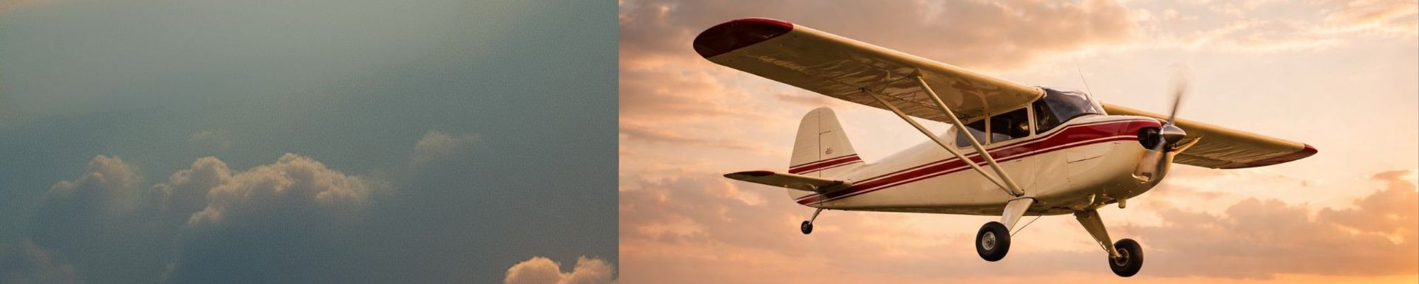 Cover for Louis Cornelis Baltus's Obituary