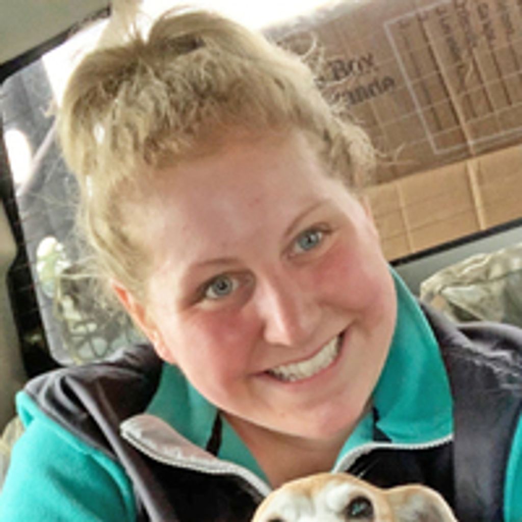 Kristin A. Wente Stagakis