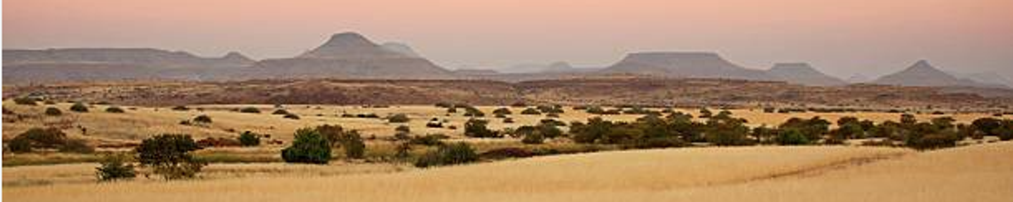 Cover for Janet Bavier Chambliss's Obituary