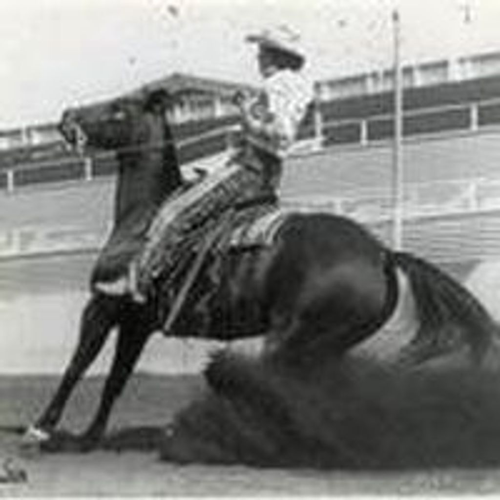 Barbara Lanker