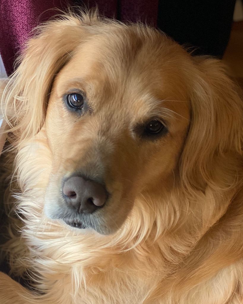 Maggie May Choate Profile Photo