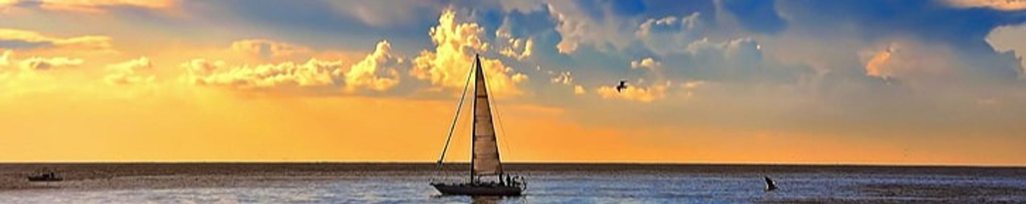 Cover photo for Deborah Kemler Nelson's Obituary