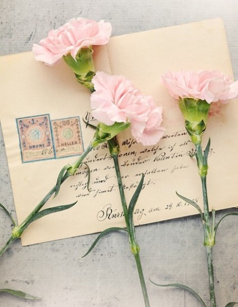 Jane Mary McConlogue