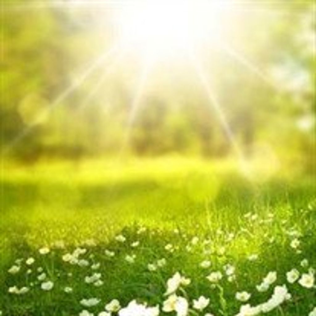 Roberta  "Bonnie" Sands