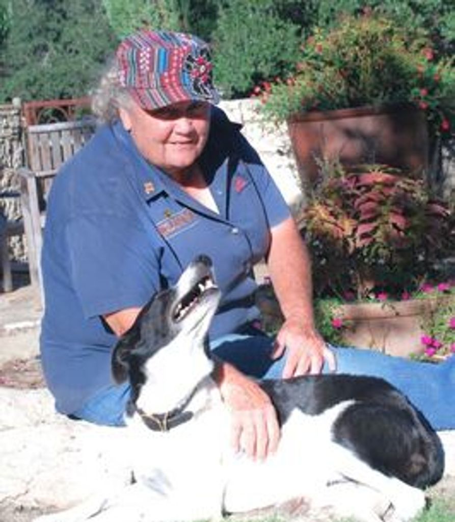 Sandi Newton Profile Photo