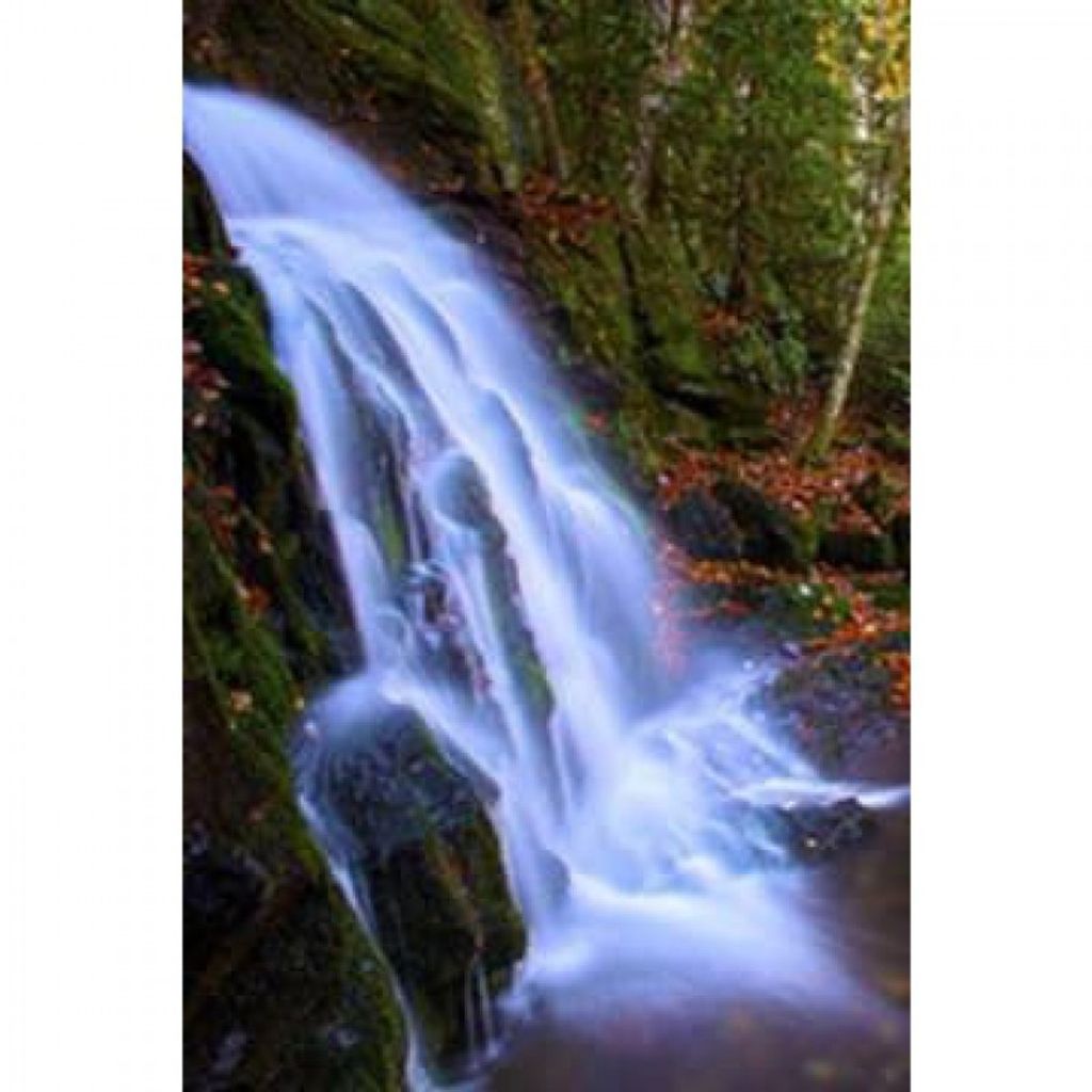 Gilbert Colin Zemacki Profile Photo