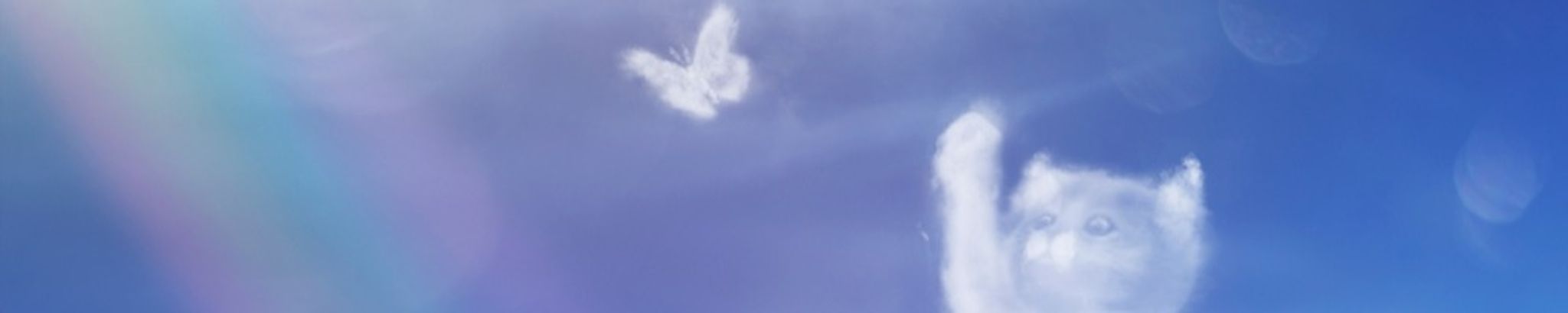 Cover for Fluffy's Obituary