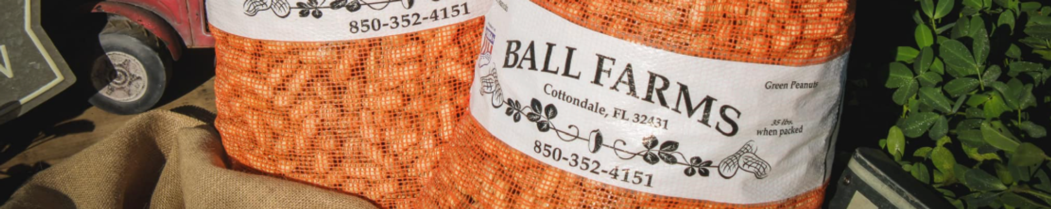 Cover for Gregory M. Ball's Obituary