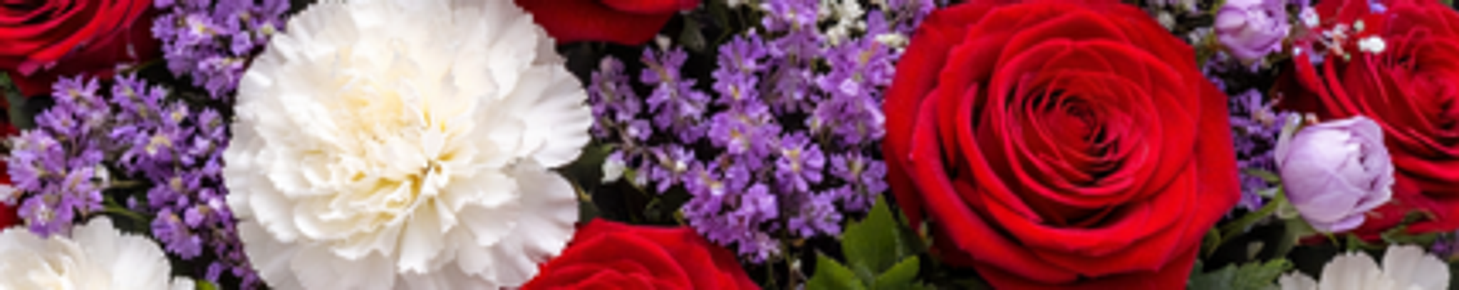 Cover for Honey Mae Seevers's Obituary