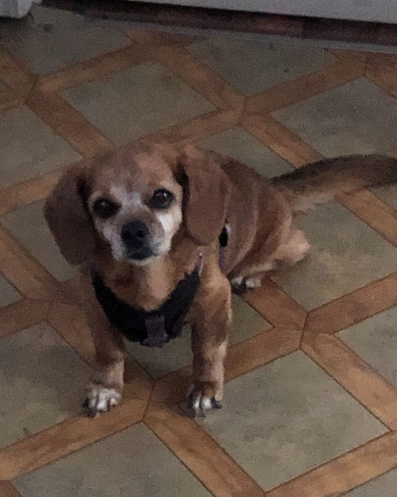 Sadie Jane Profile Photo