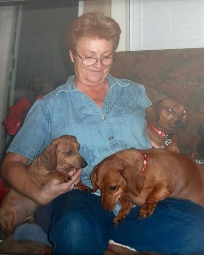Sandra Mohr Elder's obituary image