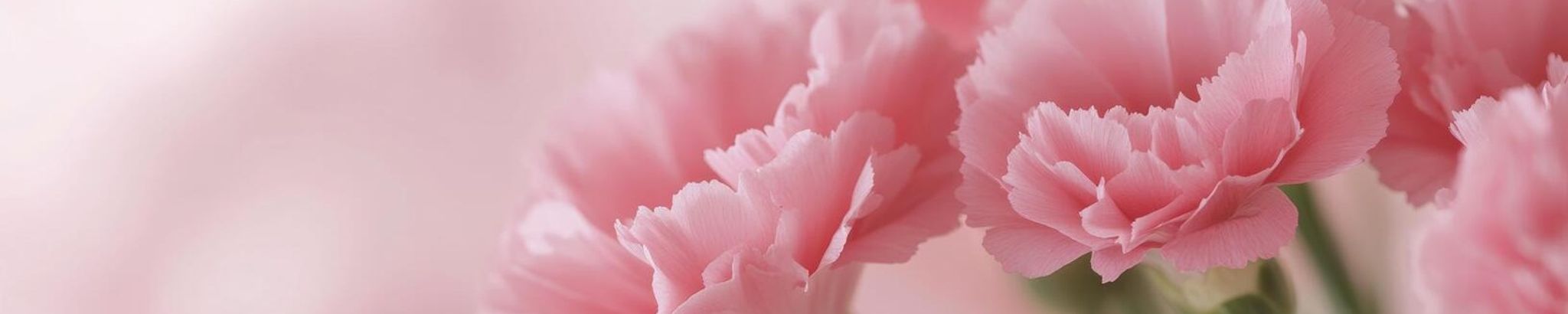 Cover for Katherine Masters's Obituary