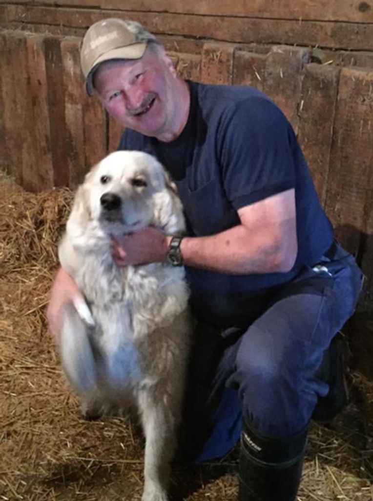 Dave Mccreery Profile Photo
