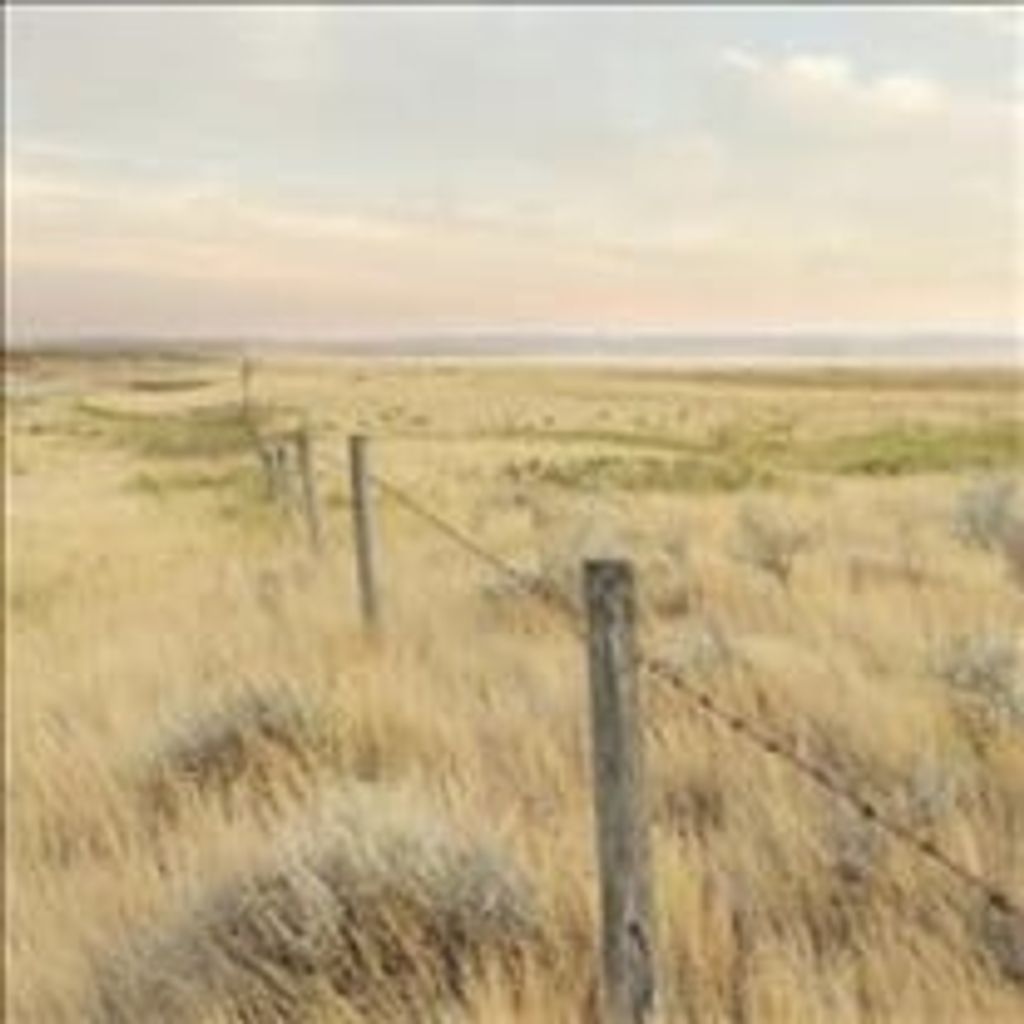 Darrel Yost Profile Photo