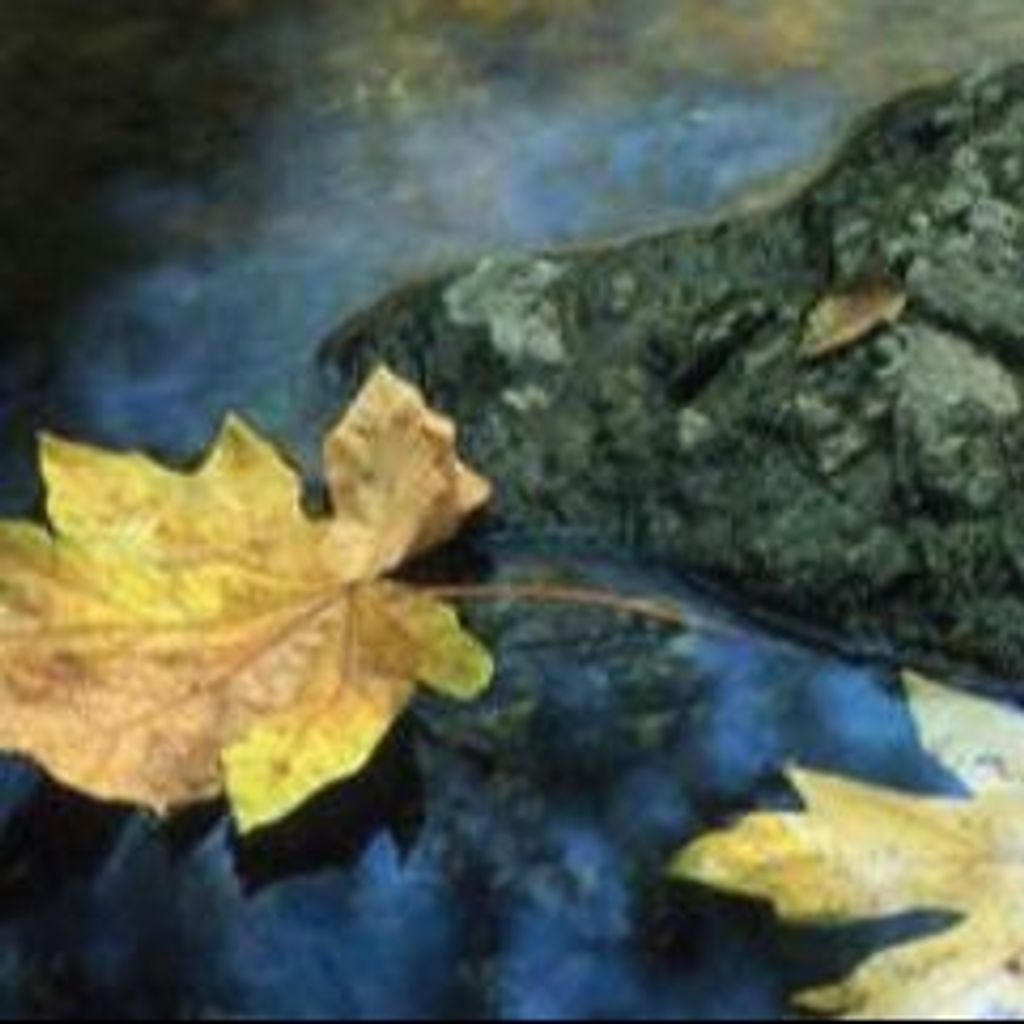 Fred Lovett Lake Profile Photo