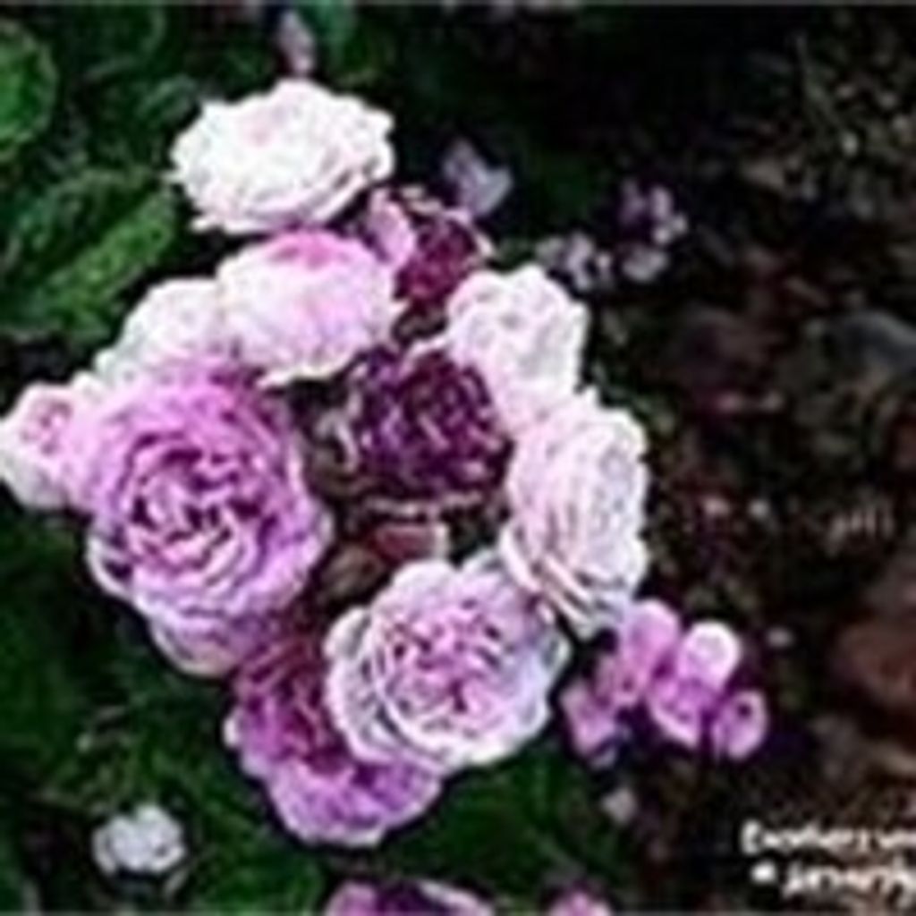 Flora M. Burdick