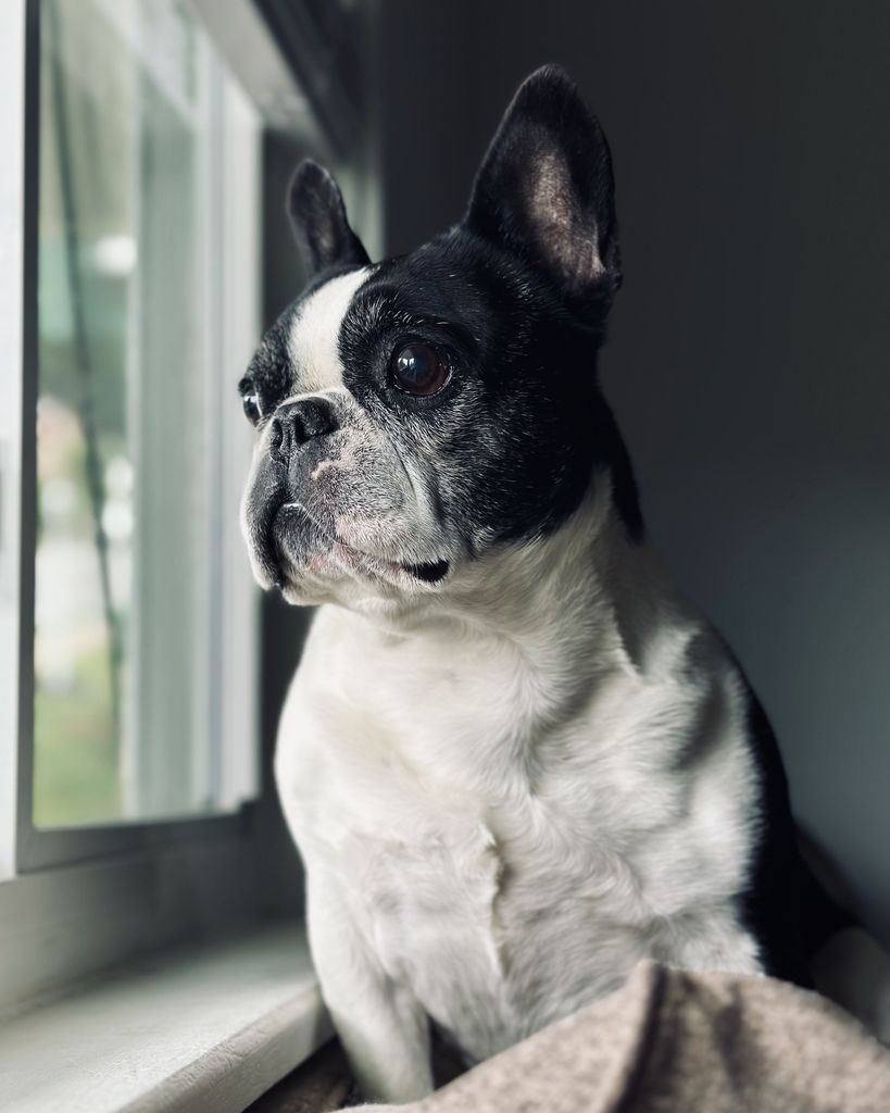 Nola Dauphine Profile Photo