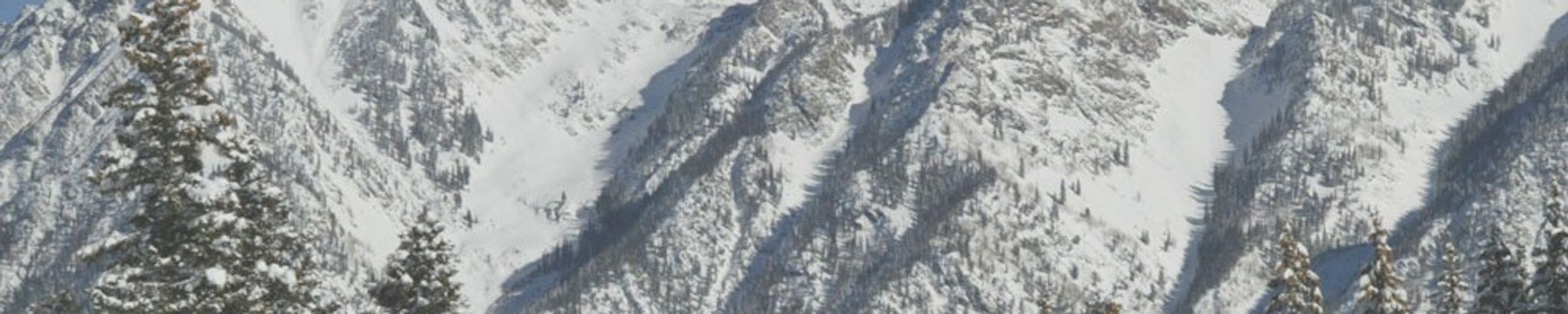 Cover for Michael A. Goldman's Obituary