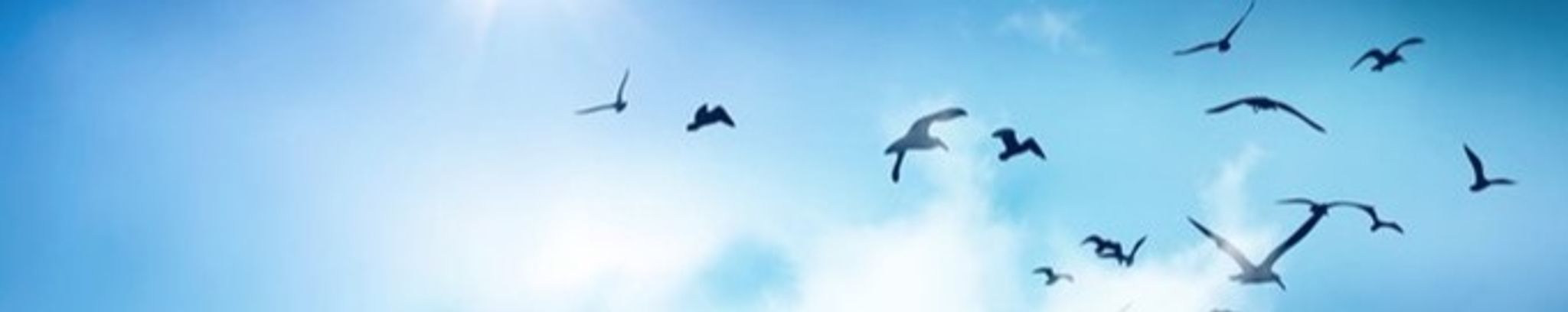 Cover photo for Tegan Kayseas- Paslowski's Obituary
