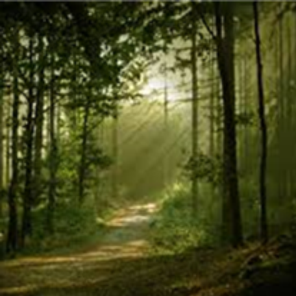 Dr. Richard H. Cornell, Sr.