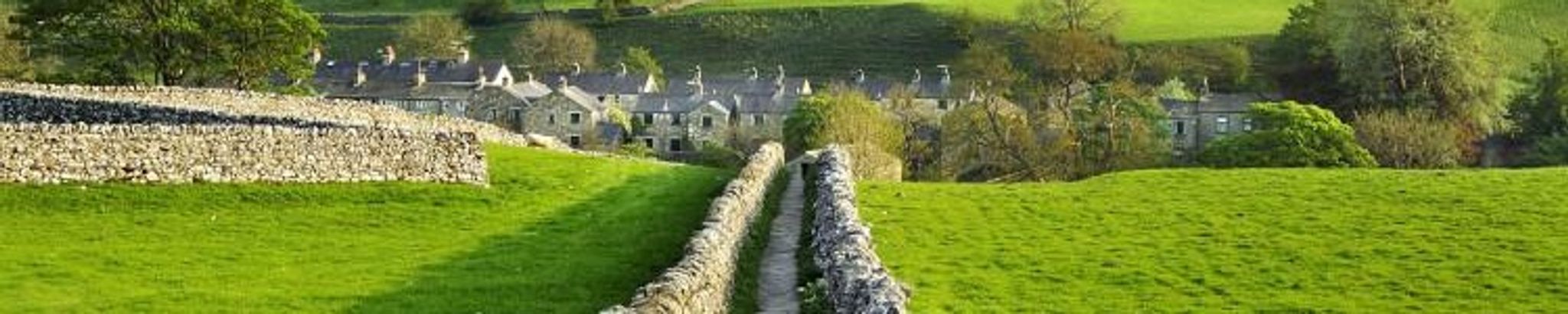 Cover for Julie Bedford Walters's Obituary