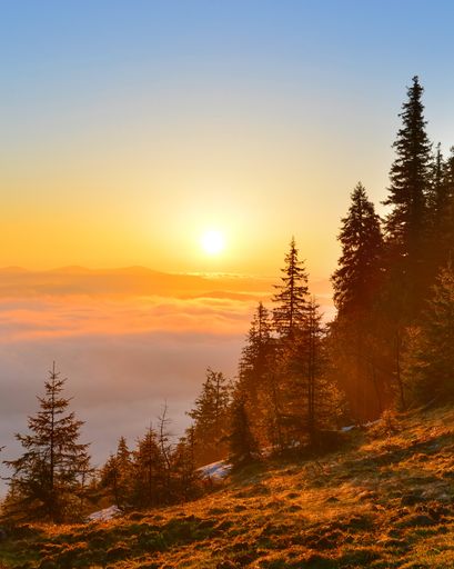 Cecilio Merlos Castro's obituary image