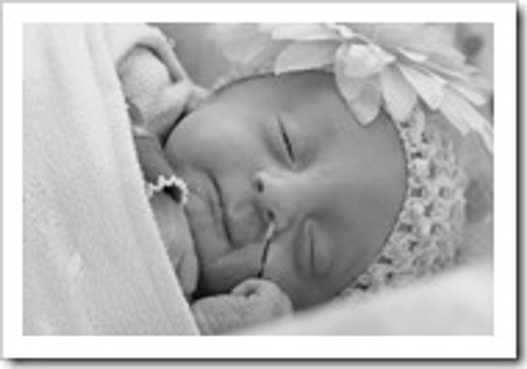 Anna Elizabeth Feekes