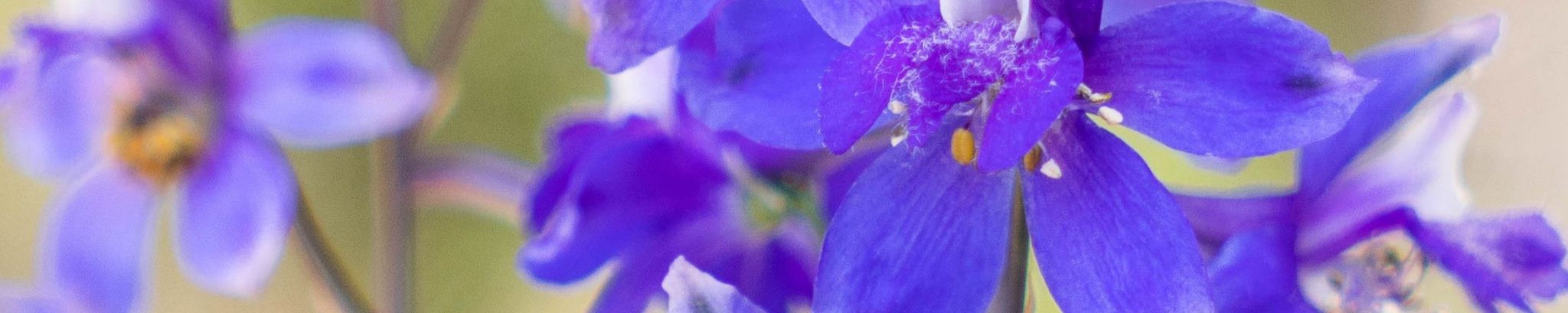 Cover photo for Margaret R. Spice's Obituary