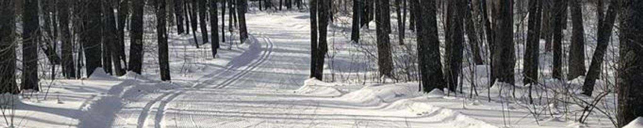 Cover for Jeanne M. Pigeon's Obituary