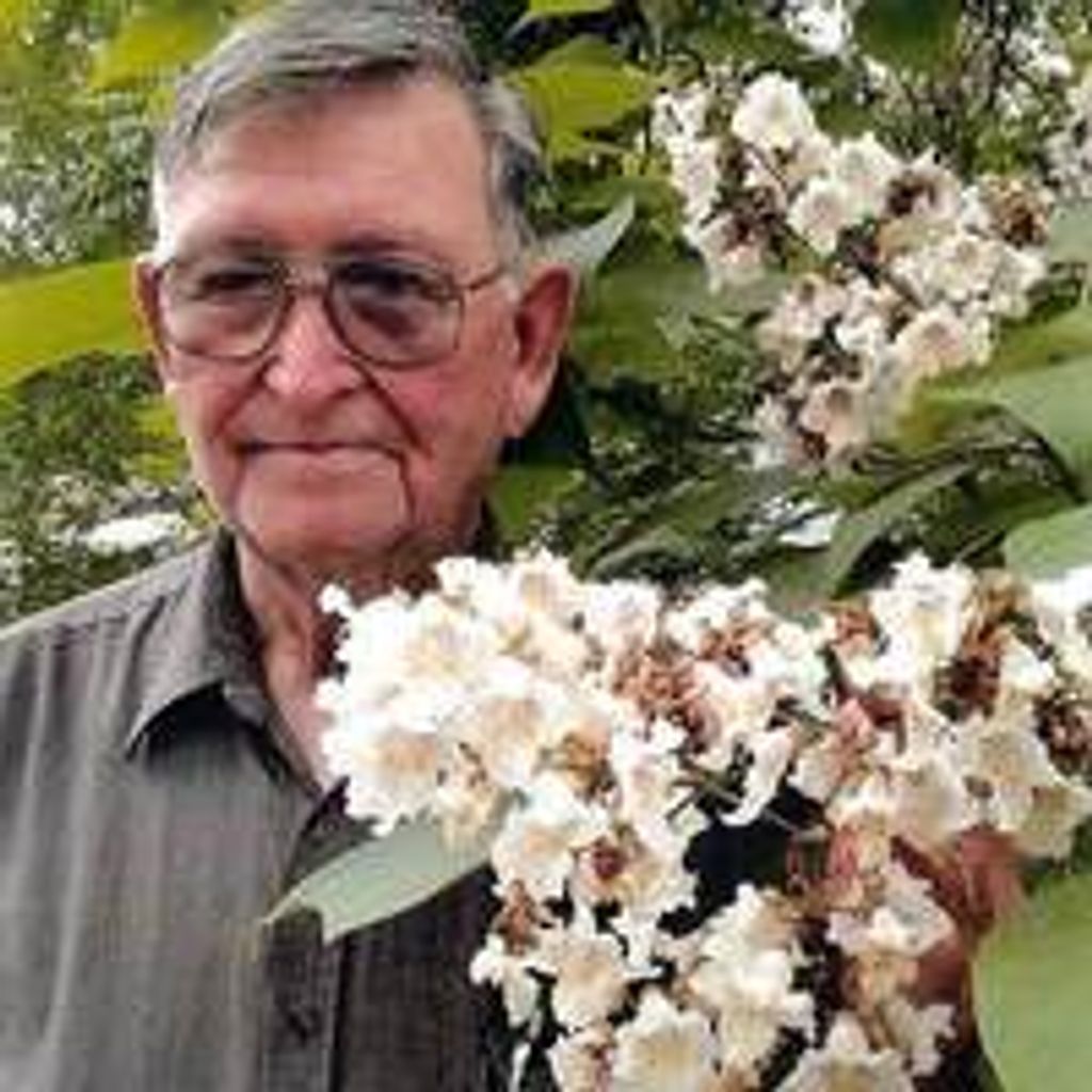 Terry Nagle Roberts