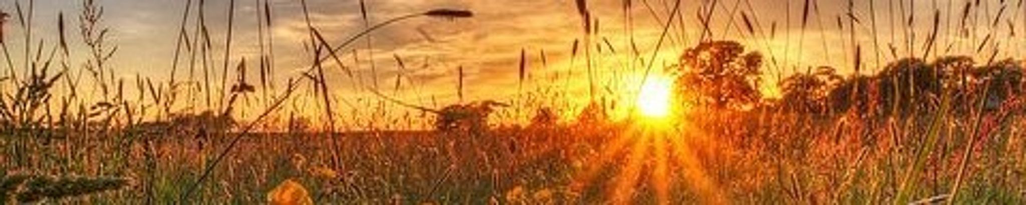 Cover photo for Marcella J Wilbur's Obituary