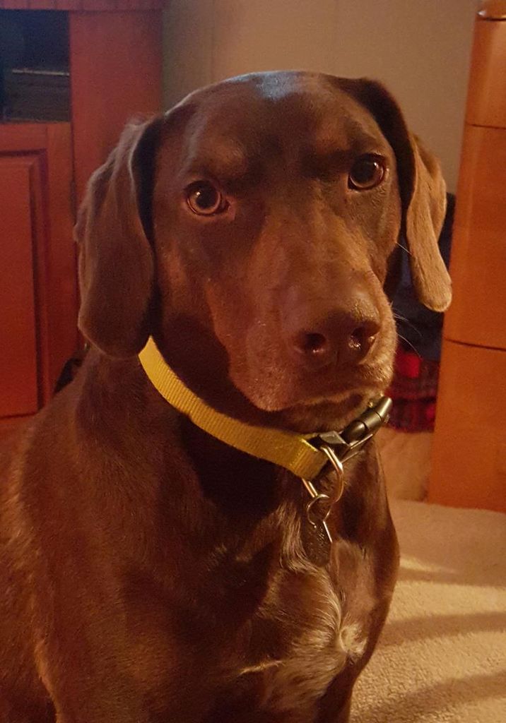 James Elgin "J.E." Parker