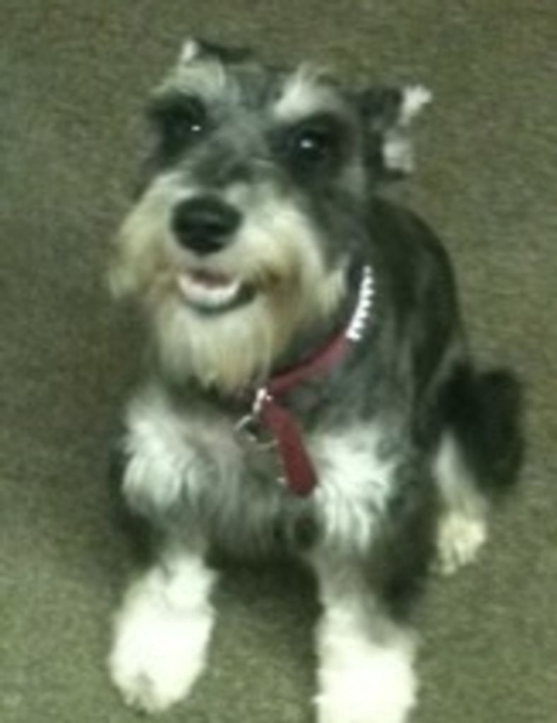 Pepper "Peppy" Delmege